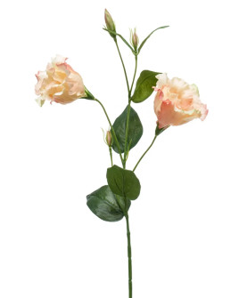 Artificial flower Eustoma Peach H60cm