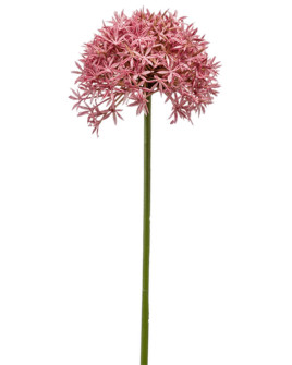 Искусственный цветок Allium Pink / Аллиум (лук декоративный) H62cm