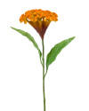 Искусственный цветок Celosia Orange / Целозия H62cm NKoop EEG