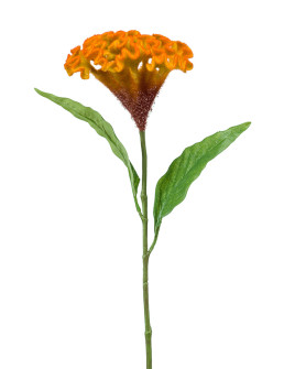Искусственный цветок Celosia Orange / Целозия H62cm
