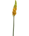 Штучна квітка Kniphofia Yellow / Кніфофія жовта H70cm NKoop EEG