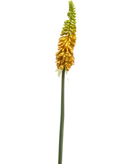Штучна квітка Kniphofia Yellow / Кніфофія жовта H70cm