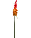 Штучна квітка Kniphofia Orange / Кніфофія H70cm NKoop EEG