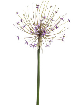 Искусственный цветок Allium Lilac / Аллиум (лук декоративный) H105cm