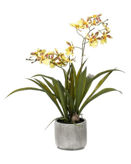 Artificial Plant Oncidium Yellow-Brown H45cm