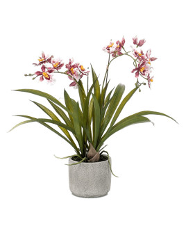 Artificial Plant Oncidium Burgundy H45cm