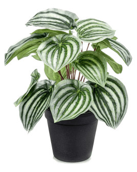 Искусственное растение Peperomia Green-Grey / Пеперомия H25cm