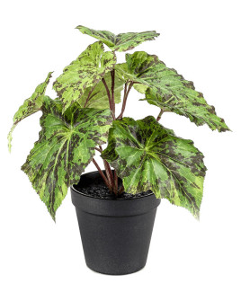 Искусственное растение Begonia / Бегония H25cm