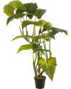 Искусственное растение Colocasia on trunk / Колоказия H175cm NKoop EEG