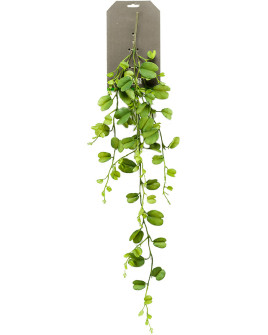Искусственное растение Hoya Kerrii / Хойя Керри лиана H90cm