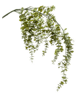 Искусственное растение Eucalyptus / Эвкалипт лоза H120cm