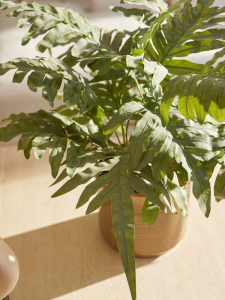 Искусственное растение Phlebodium bush / Папоротник Флебодиум H67cm NKoop EEG