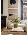 Искусственное растение Phlebodium bush / Папоротник Флебодиум H67cm NKoop EEG