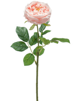 Artificial Flower Rose Jenny Pink H60cm