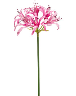 Artificial flower Nerine Pink H75cm