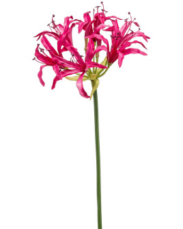 Artificial flower Nerine Fuchsia H75cm