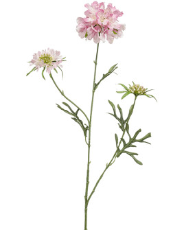 Искусственный цветок Scabiosa Pink / Скабиоза розовая H77cm