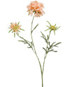 Искусственный цветок Scabiosa Peach / Скабиоза персиковая H77cm NKoop EEG