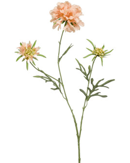 Искусственный цветок Scabiosa Peach / Скабиоза персиковая H77cm