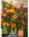 Artificial Flower Rose London Orange H110cm NKoop EEG