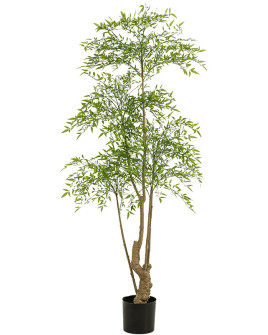 Искусственное растение Ruscus Tree / Рускус дерево H180cm