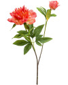 Artificial flower Peony Sarah Coral H73cm NKoop EEG