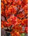 Искусственное растение Cherry Blossom Hot Pink / Вишня ветка H120cm NKoop EEG
