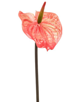 Artificial flower Anthurium Orange H65cm