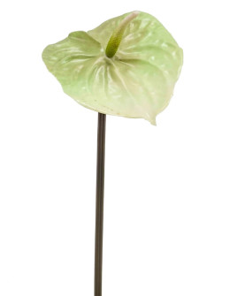 Artificial flower Anthurium Green H65cm