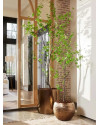 Искусственное растение Tropaeolum Tree / Настурция дерево H150cm NKoop EEG