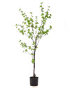 Искусственное растение Tropaeolum Tree / Настурция дерево H150cm NKoop EEG