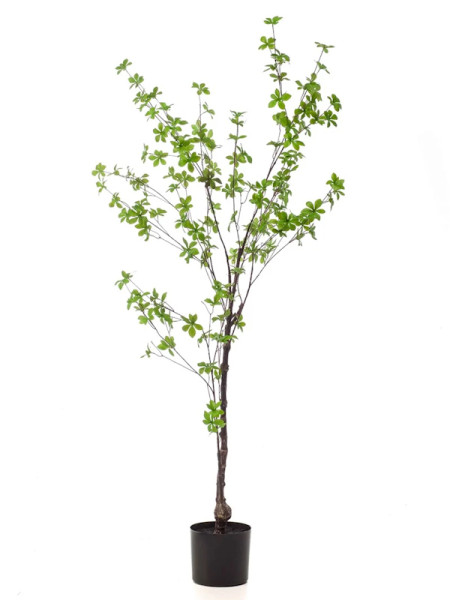 Искусственное растение Tropaeolum Tree / Настурция дерево H150cm NKoop EEG
