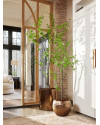 Искусственное растение Tropaeolum Tree / Настурция дерево H210cm NKoop EEG