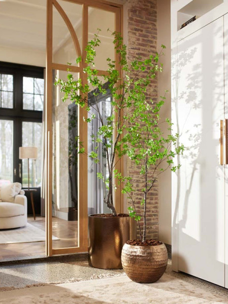 Искусственное растение Tropaeolum Tree / Настурция дерево H210cm NKoop EEG
