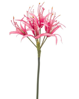 Artificial flower Nerine Hot Pink H72cm