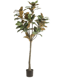 Искусственное растение Magnolia Denudata Tree / Магнолия дерево H150cm