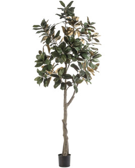 Искусственное растение Magnolia Denudata Tree / Магнолия дерево H240cm