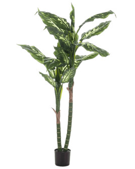 Искусственное растение Dieffenbachia / Диффенбахия H150cm