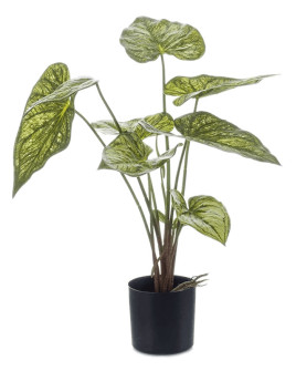 Искусственное растение Caladium Green / Каладиум H60cm