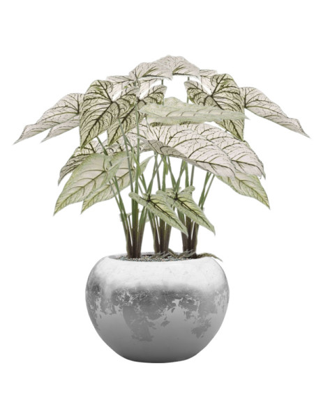 Искусственное растение Caladium Green-White / Каладиум H60cm NKoop EEG