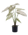 Искусственное растение Caladium Green-White / Каладиум H60cm NKoop EEG