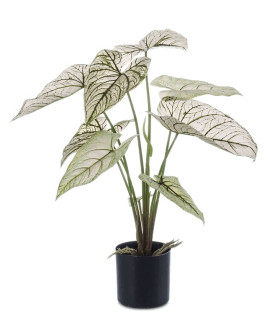 Искусственное растение Caladium Green-White / Каладиум H60cm