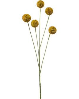 Искусственное растение Craspedia Branch Yellow / Краспедия ветка H72cm