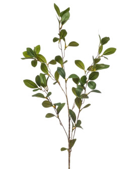 Искусственное растение Ruscus Branch / Рускус ветка H90cm