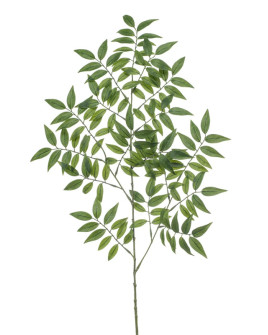 Искусственное растение Ruscus Branch / Рускус ветка H95cm