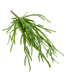 Искусственное растение Rhipsalis pandora bush / Рипсалис H35cm