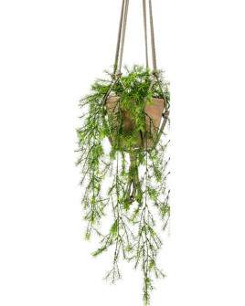Искусственное растение Asparagus Sprengeri / Аспарагус лиана H75cm