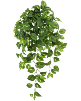 Искусственное растение Pothos Hanging Bush / Потос (Сциндапсус) H85cm