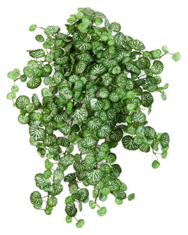 Искусственное растение Mini Saxifraga Hanging / Камнеломка Мини H60cm