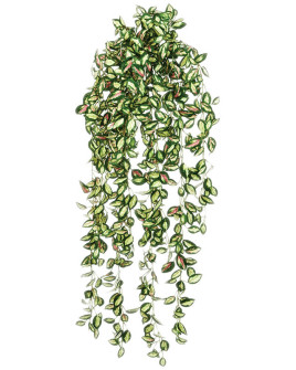 Искусственное растение Hoya / Хойя пёстрая лиана H85cm